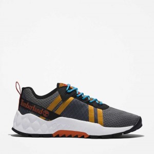 Timberland Greenstride Gri | SN-TBL45892