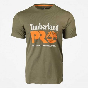 Timberland Timberland Pro® Masline Verzi | SN-TBL45947
